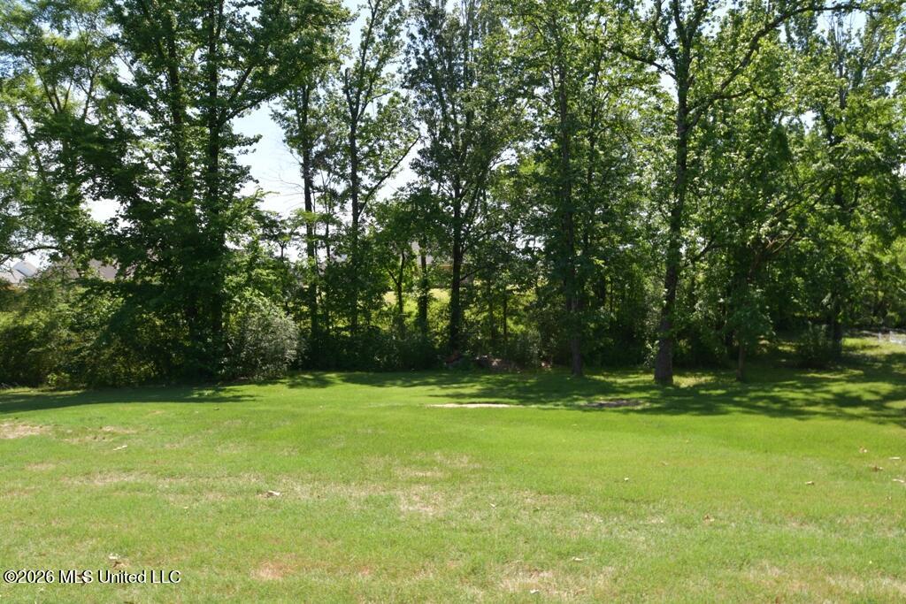 1780 Malone Road Nesbit, MS 38651 - Photo 26 of 31 Backyard
