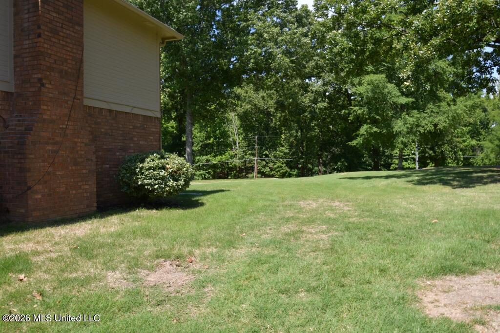 1780 Malone Road Nesbit, MS 38651 - Photo 27 of 31 Side Yard
