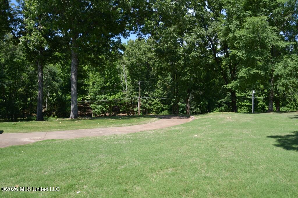 1780 Malone Road Nesbit, MS 38651 - Photo 28 of 31 Front yard