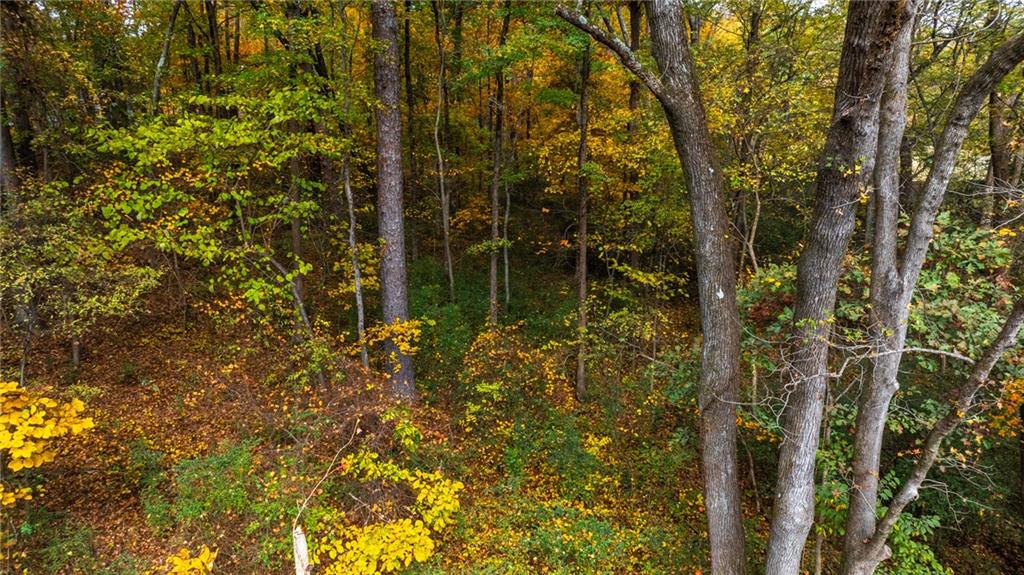 84 Cline Smith Road Northeast Cartersville, GA 30121 - Photo 13 of 14 a view of a garden