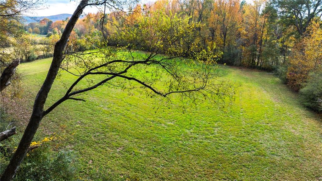 84 Cline Smith Road Northeast Cartersville, GA 30121 - Photo 14 of 14 a backyard of a house with lots of green space