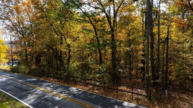 a view of a forest with trees