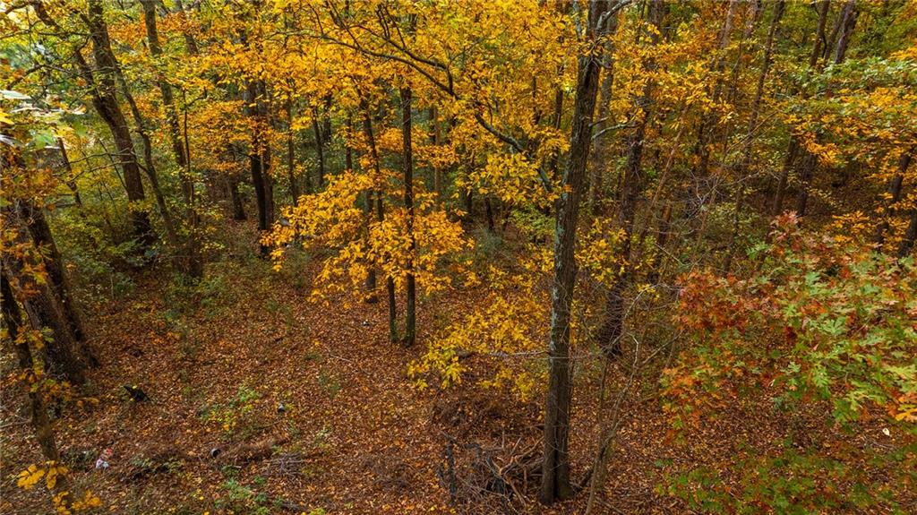 84 Cline Smith Road Northeast Cartersville, GA 30121 - Photo 9 of 14 a view of forest