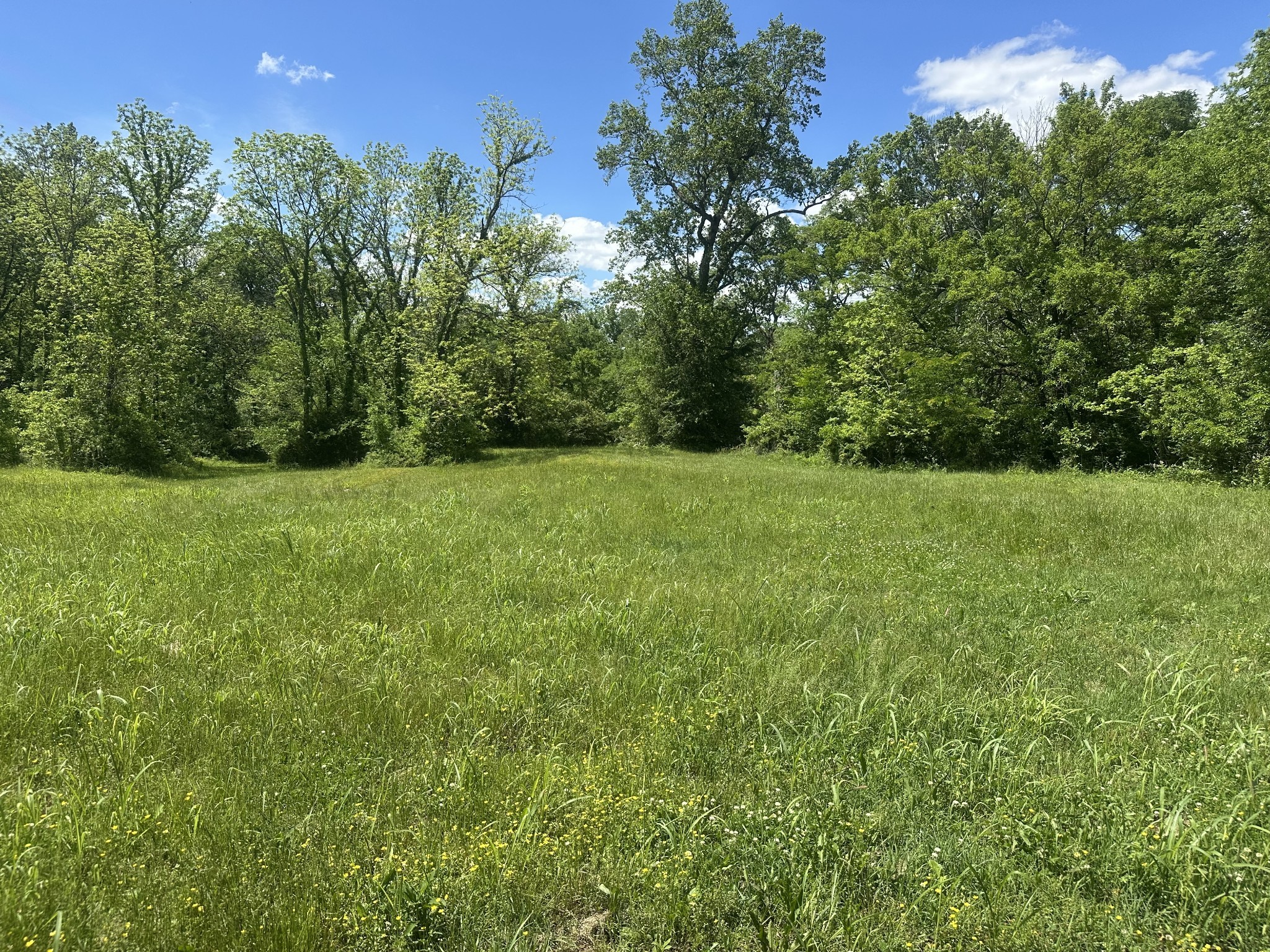 0 Greens Mill Road Spring Hill, TN 37174 - Photo 3 of 9