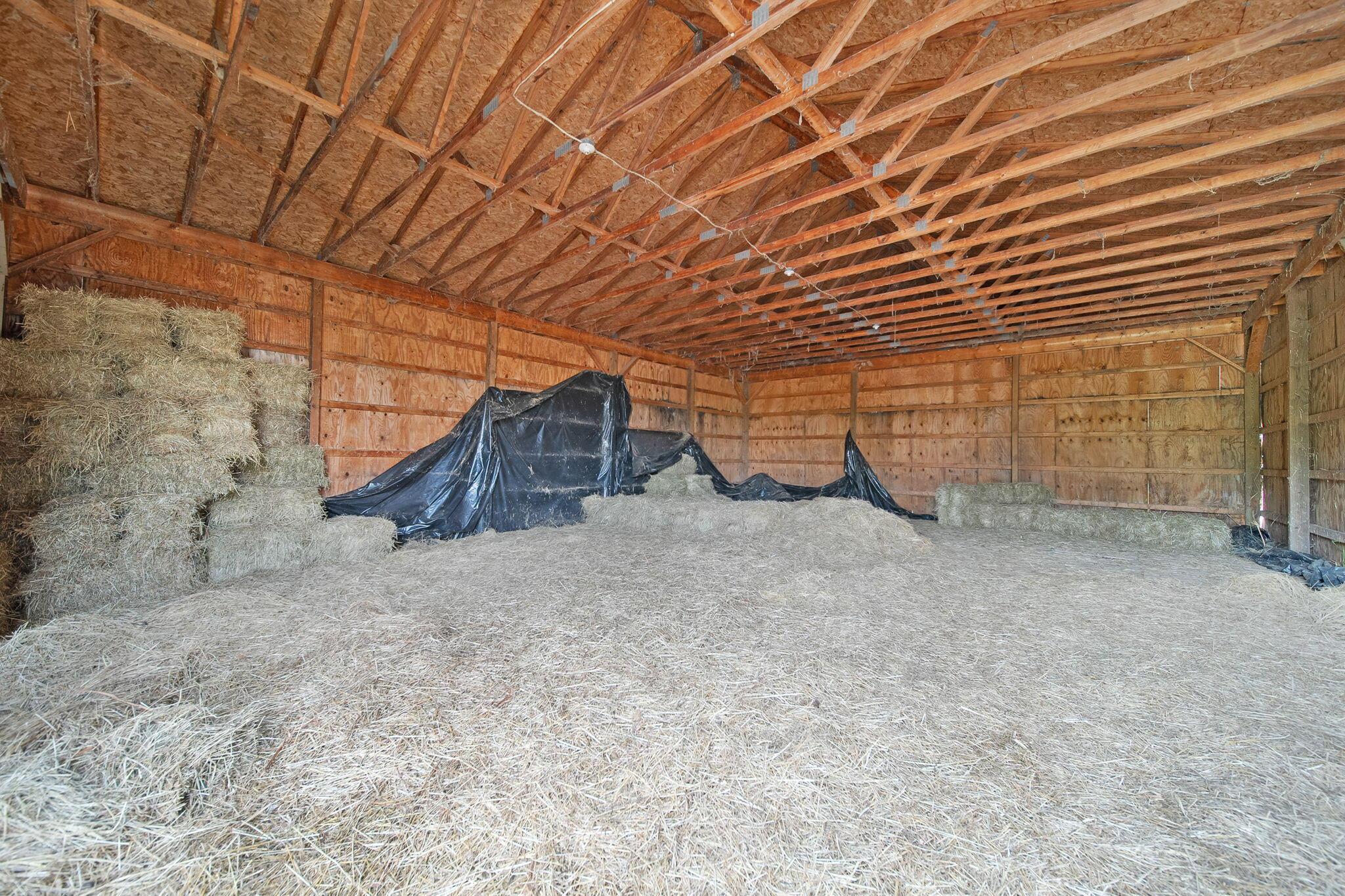 6810 Barrett Road Geneva, OH 44041 - Photo 51 of 78 60-web-or-mls-DSC09603