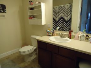 14 Springwinds Loop Johnson City, TN 37601 - Photo 16 of 23 2nd Full Bathroom