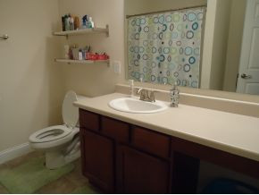 14 Springwinds Loop Johnson City, TN 37601 - Photo 18 of 23 3rd full bathroom