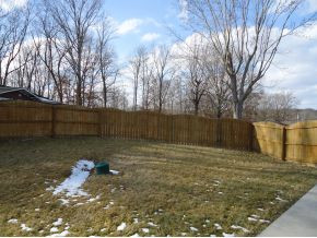 14 Springwinds Loop Johnson City, TN 37601 - Photo 20 of 23 FencedIn Backyard