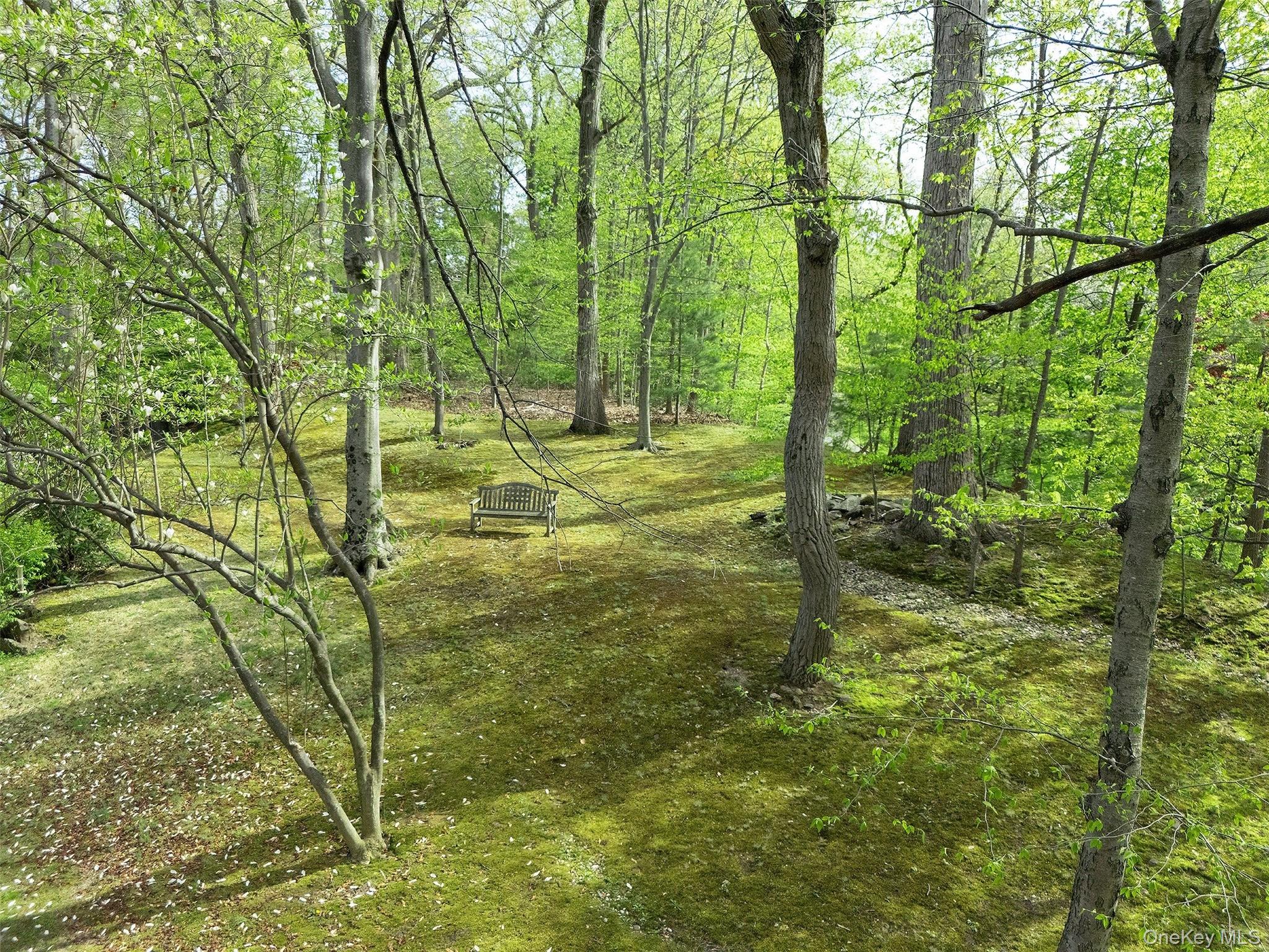 7 SE Road Sands Point, NY 11050 - Photo 43 of 45 a view of yard with green space