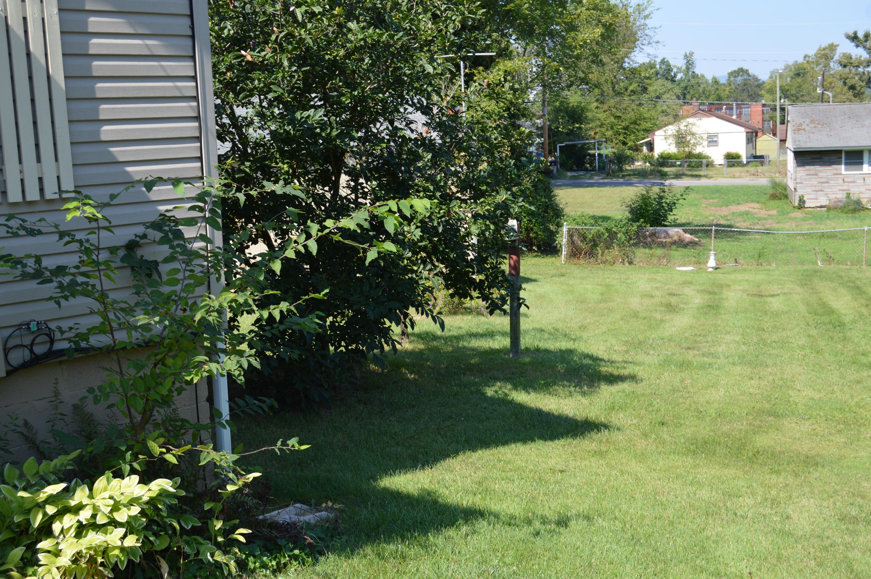 143 Nevada Circle Oak Ridge, TN 37830 - Photo 15 of 16 Level Yard Pretty Plants