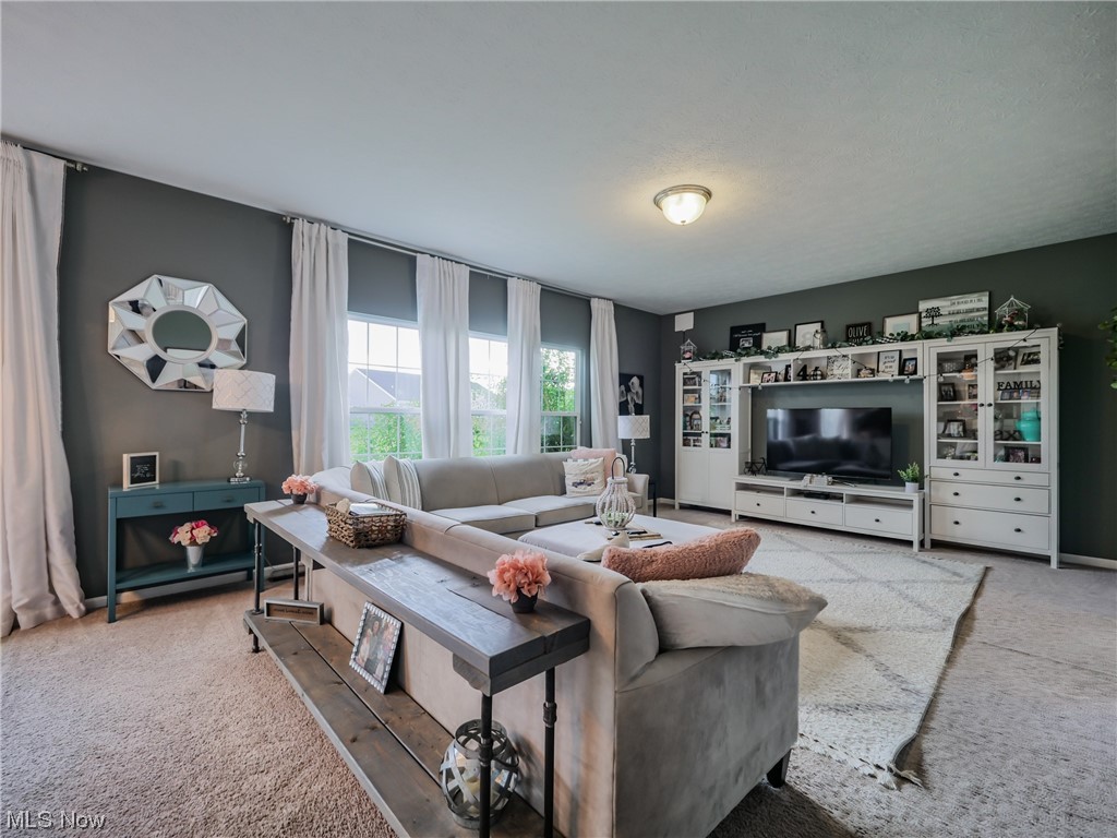 37571 Amber Way North Ridgeville, OH 44039 - Photo 12 of 35 Living room featuring light carpet