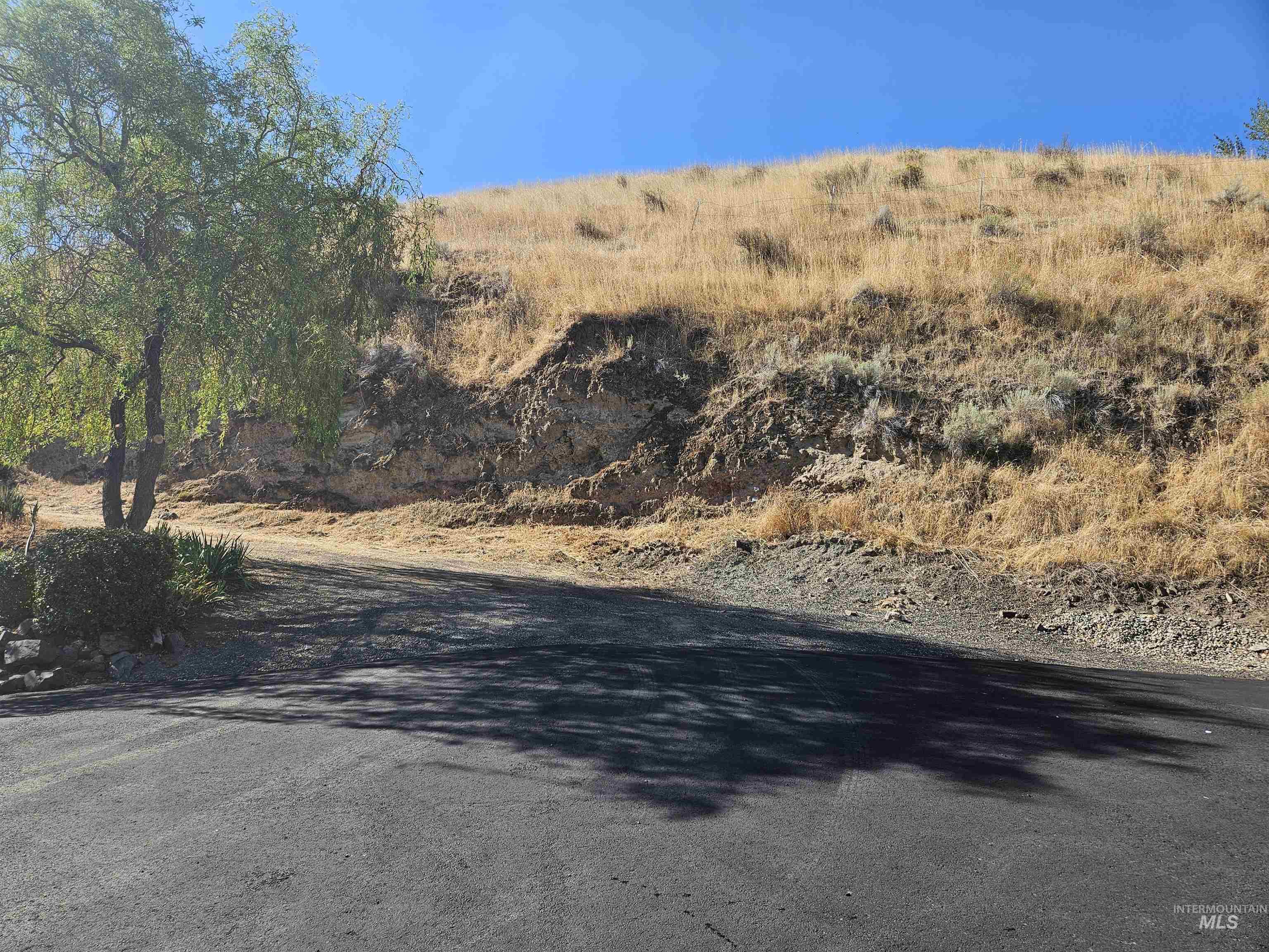 Tbd Garfield Street Asotin, WA 99402 - Photo 2 of 10