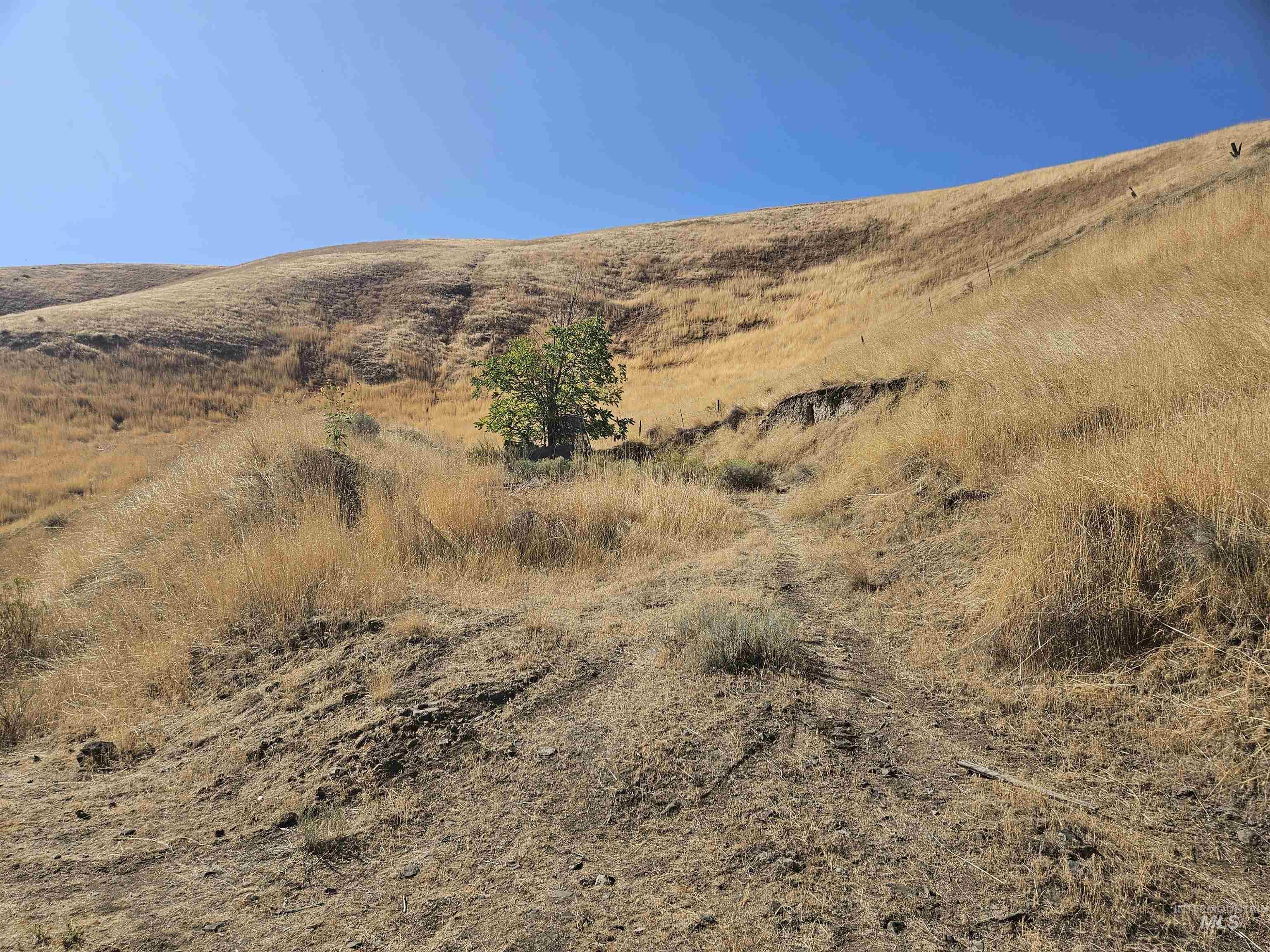 Tbd Garfield Street Asotin, WA 99402 - Photo 8 of 10