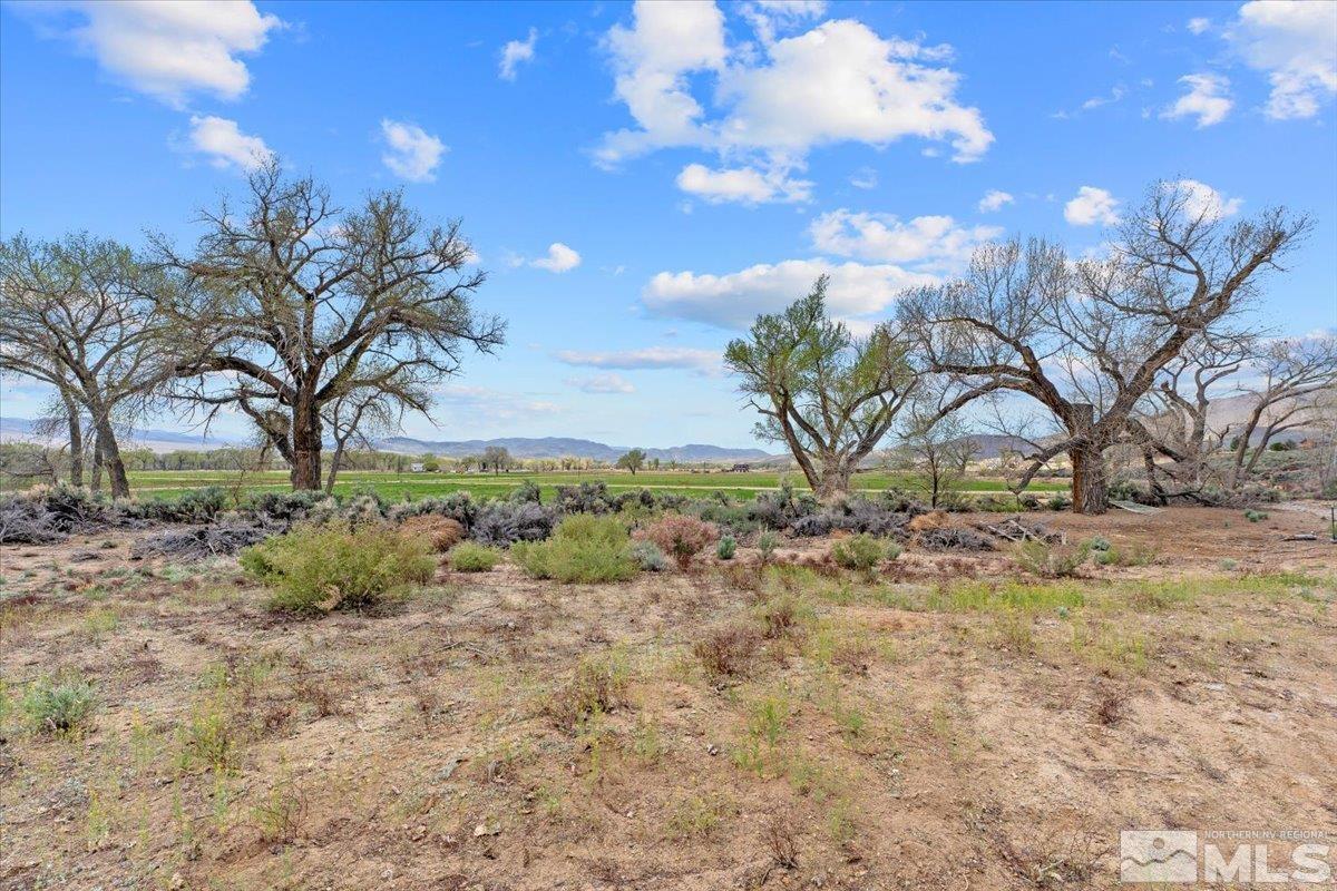 125 River Road Dayton, NV 89403 - Photo 18 of 22 Photo 18