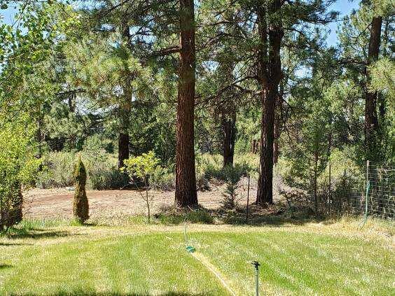 14914 Sprague River Road Chiloquin, OR 97624 - Photo 6 of 42 image000008