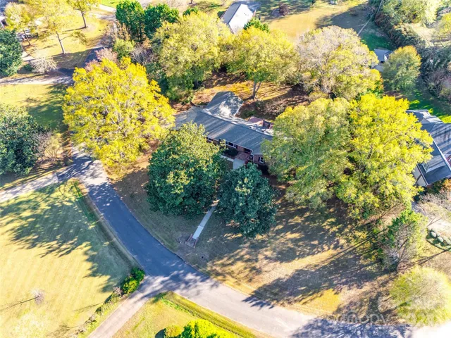 a view of a yard with plants and large trees