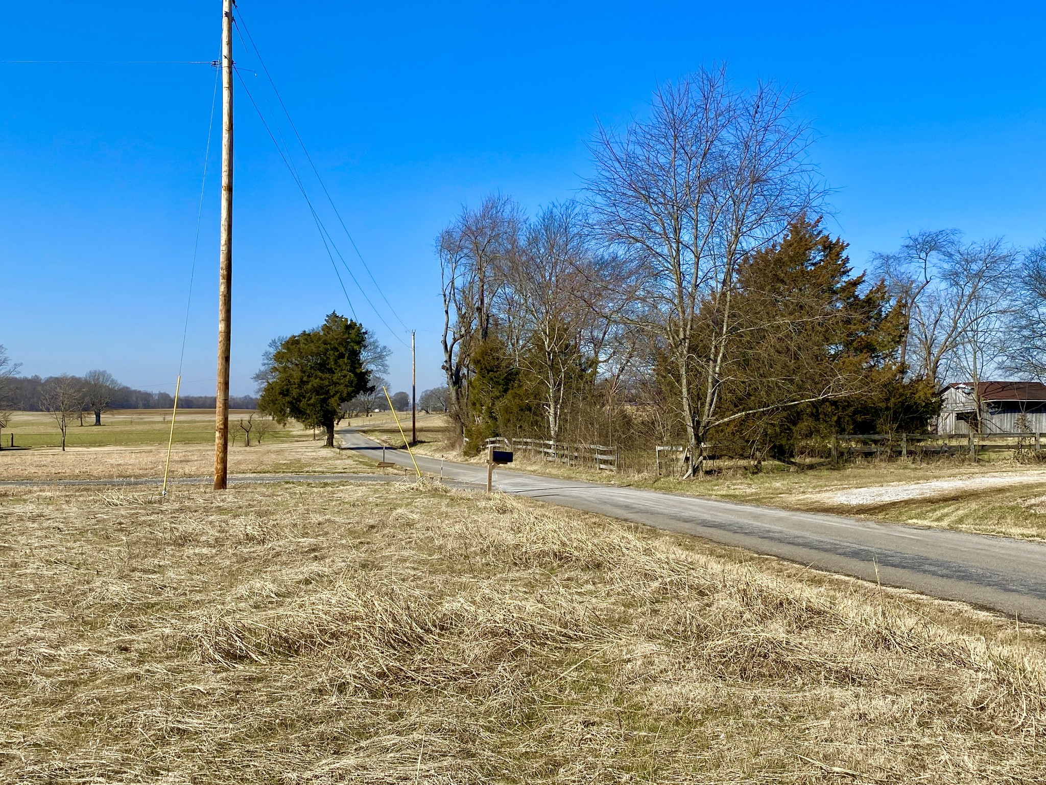 0 Swann Road Cross Plains, TN 37049 - Photo 11 of 15 a view of a yard with a house