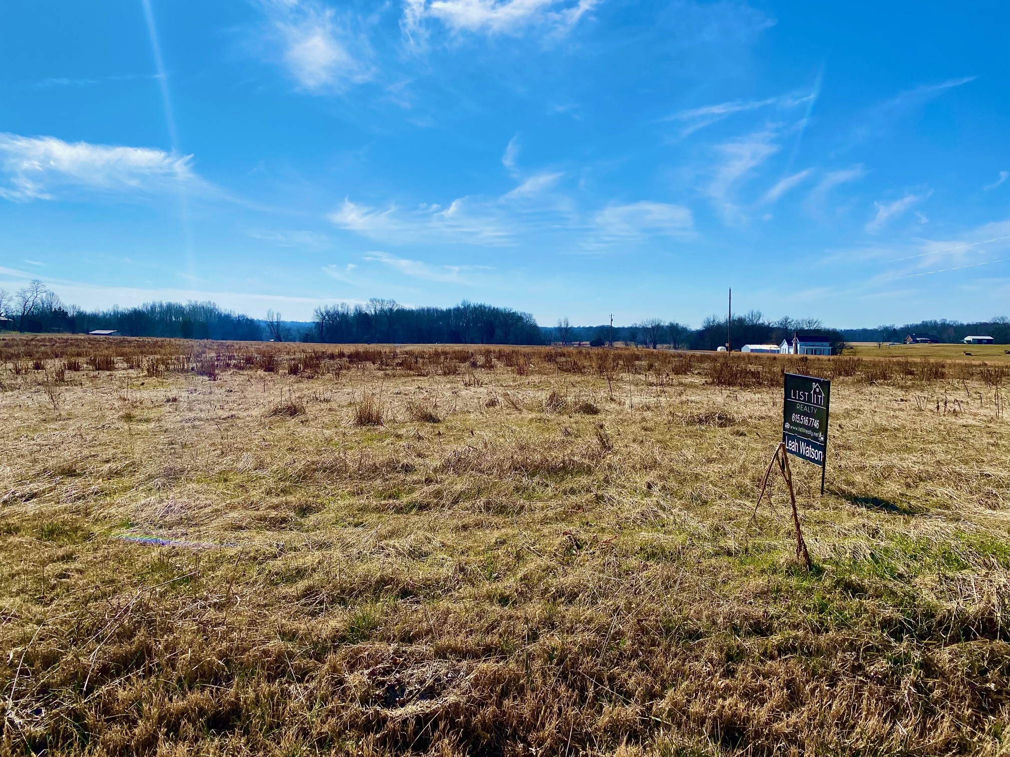 0 Swann Road Cross Plains, TN 37049 - Photo 12 of 15 a view of an ocean