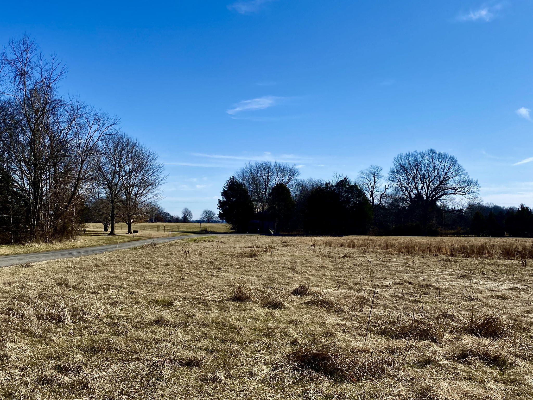 0 Swann Road Cross Plains, TN 37049 - Photo 13 of 15