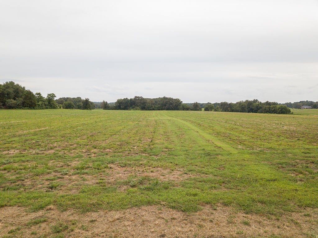 0 Swann Road Cross Plains, TN 37049 - Photo 3 of 15 a view of an ocean