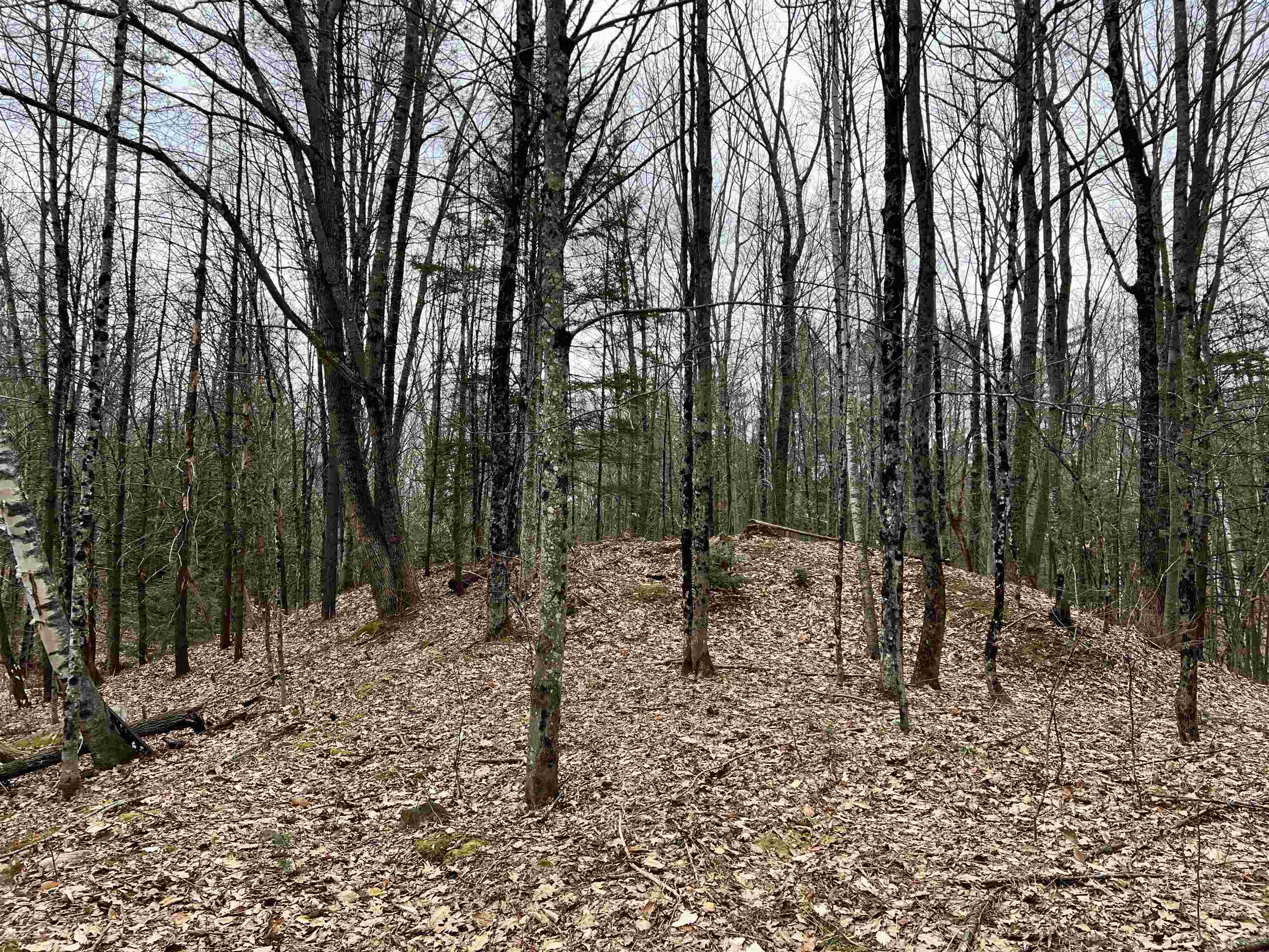 8 Cross Road New Hampton, NH 03256 - Photo 12 of 15