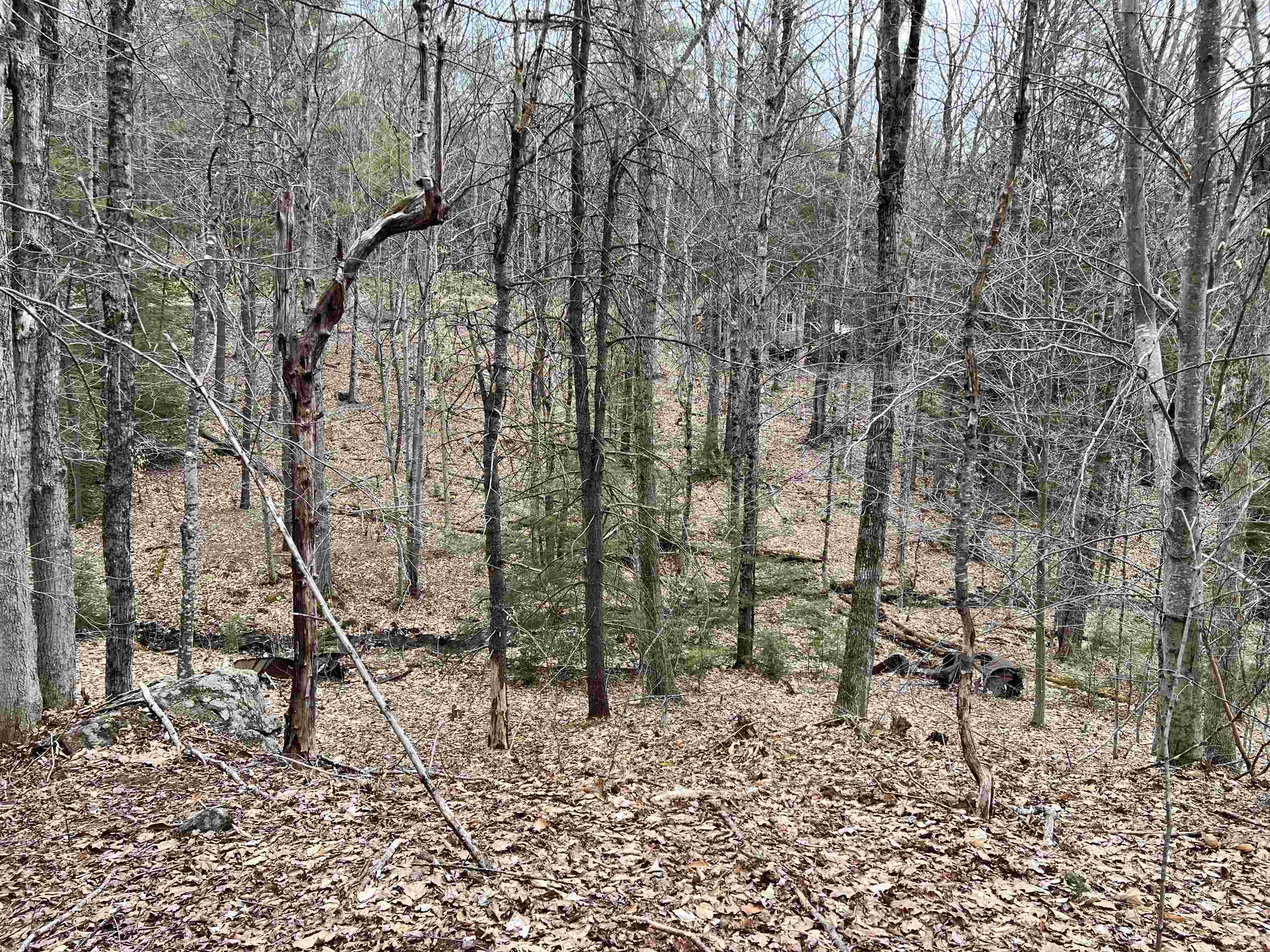 8 Cross Road New Hampton, NH 03256 - Photo 13 of 15