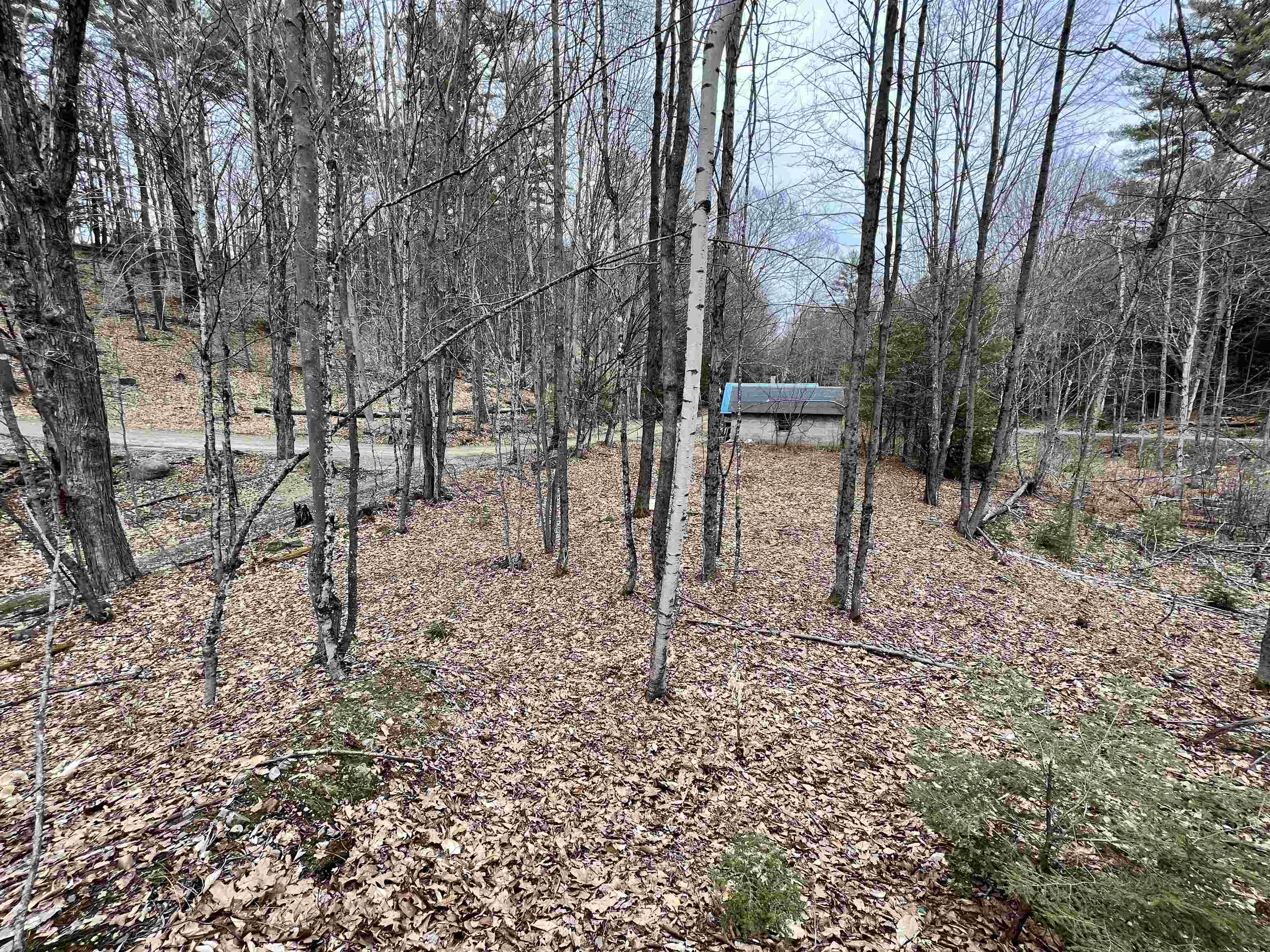 8 Cross Road New Hampton, NH 03256 - Photo 14 of 15