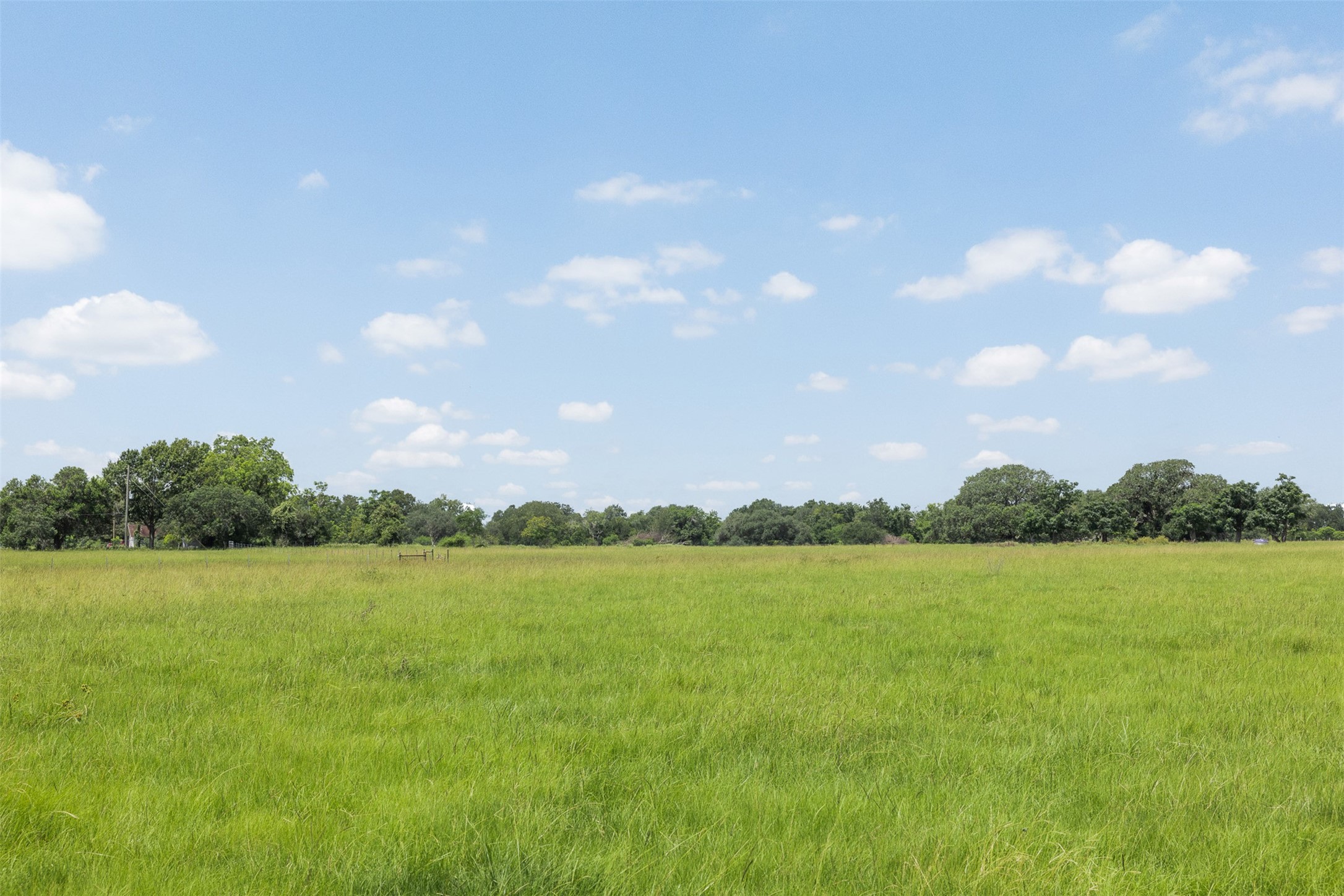 4231 Johnston Road Wallis, TX 77485 - Photo 48 of 50 Gallery Image 48