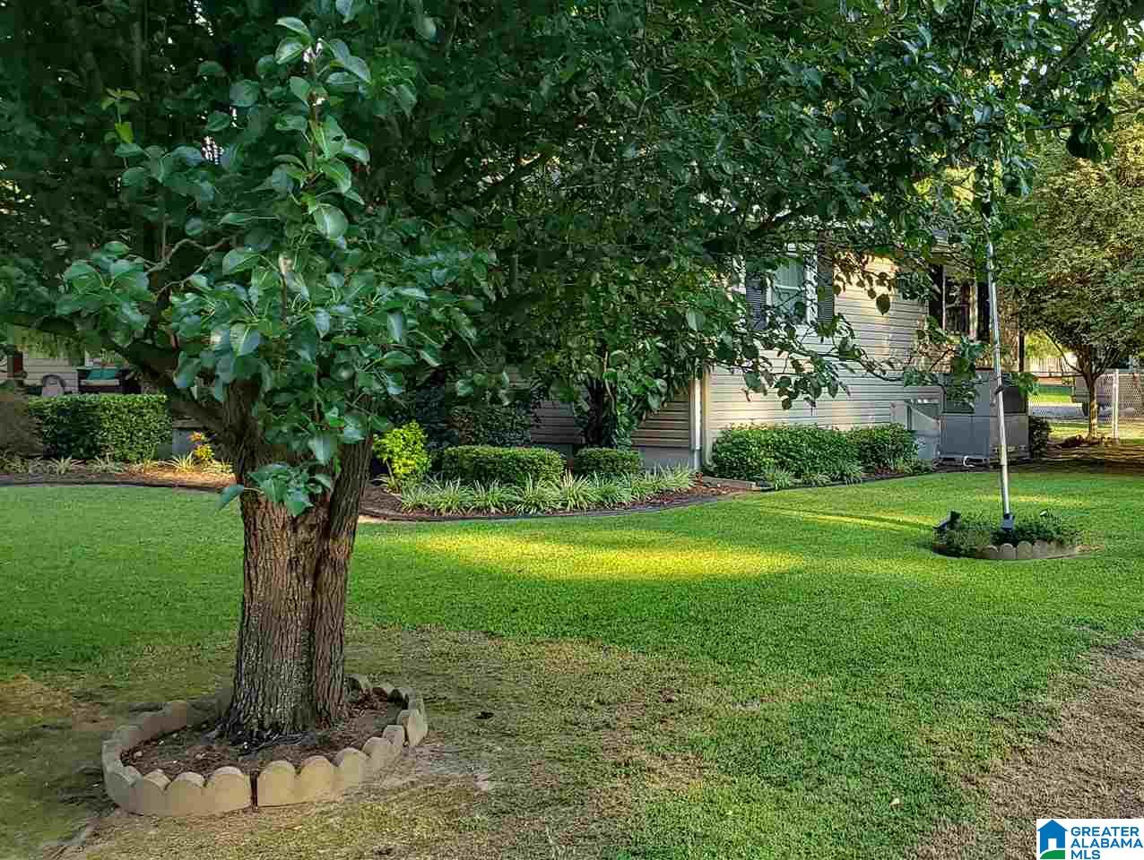 101 Tulip Avenue Oneonta, AL 35121 - Photo 16 of 40 Gallery Image 16