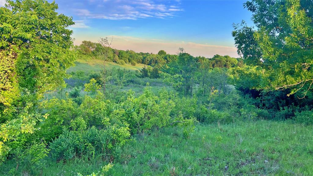 0 Fm 3206 St. Jo, TX 76265 - Photo 2 of 34