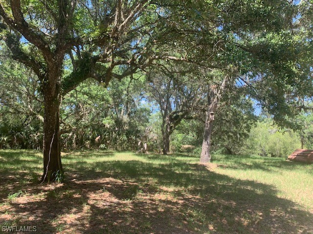 650 Bronco Road Zolfo Springs, FL 33890 - Photo 13 of 26 Gallery Image 13