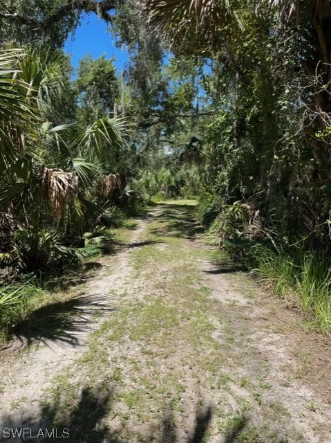 650 Bronco Road Zolfo Springs, FL 33890 - Photo 16 of 26 Gallery Image 16