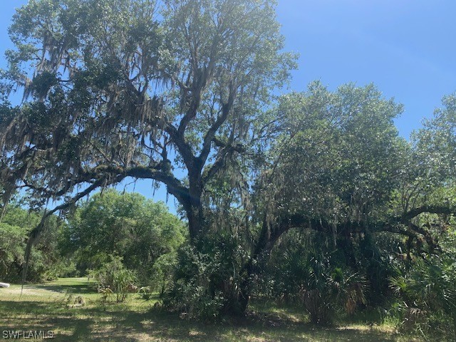 650 Bronco Road Zolfo Springs, FL 33890 - Photo 24 of 26 Gallery Image 24