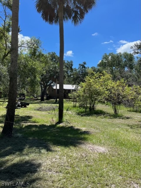 650 Bronco Road Zolfo Springs, FL 33890 - Photo 25 of 26 Gallery Image 25