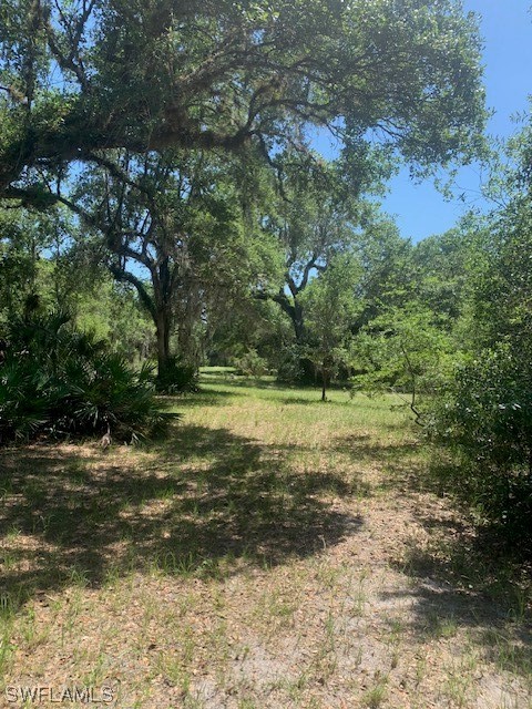 650 Bronco Road Zolfo Springs, FL 33890 - Photo 26 of 26 Gallery Image 26