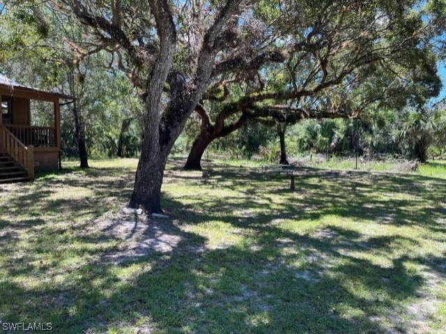 Gallery Image 6