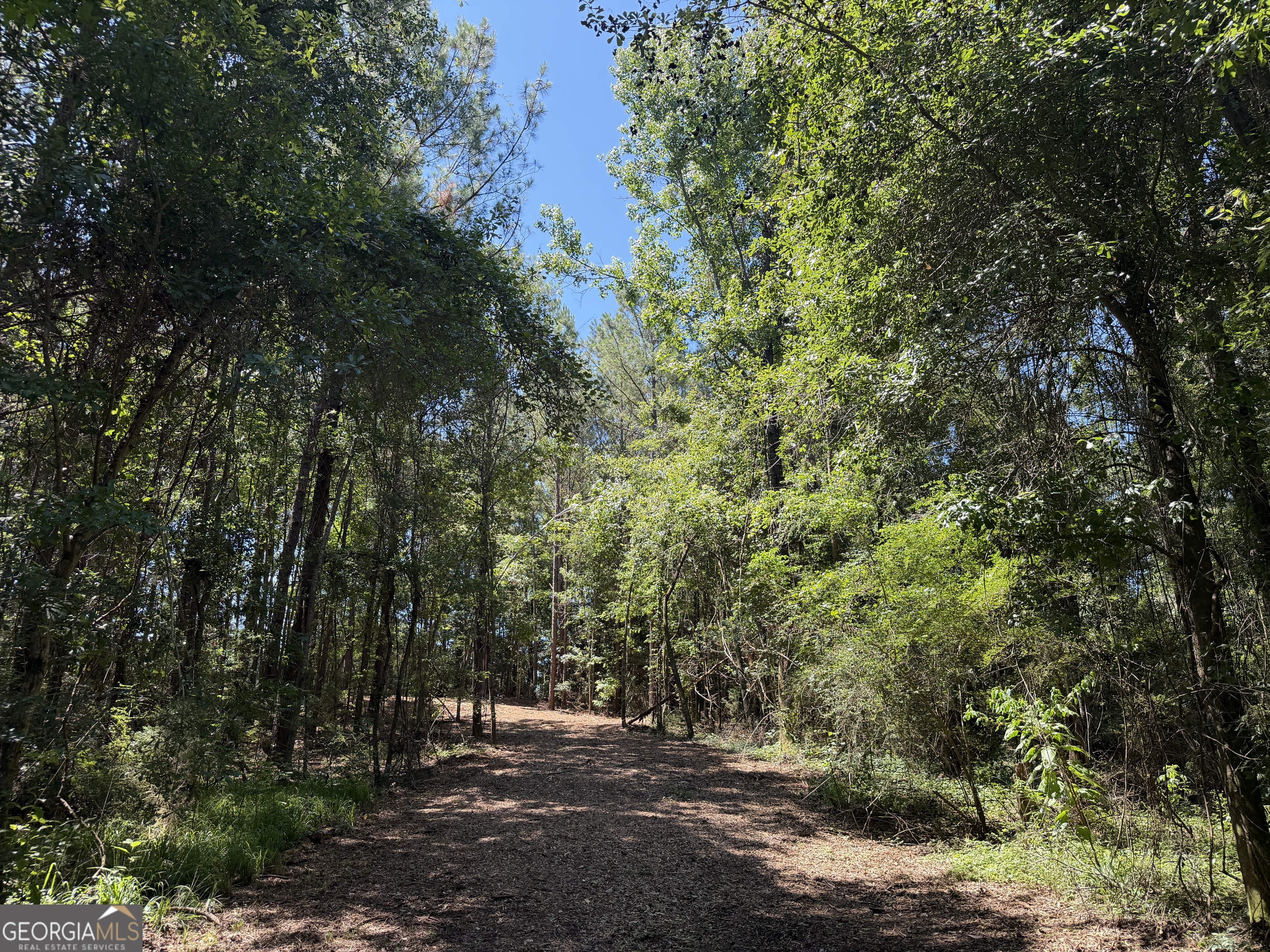 5 G Wallace Buie Road Webb, AL 36376 - Photo 3 of 10