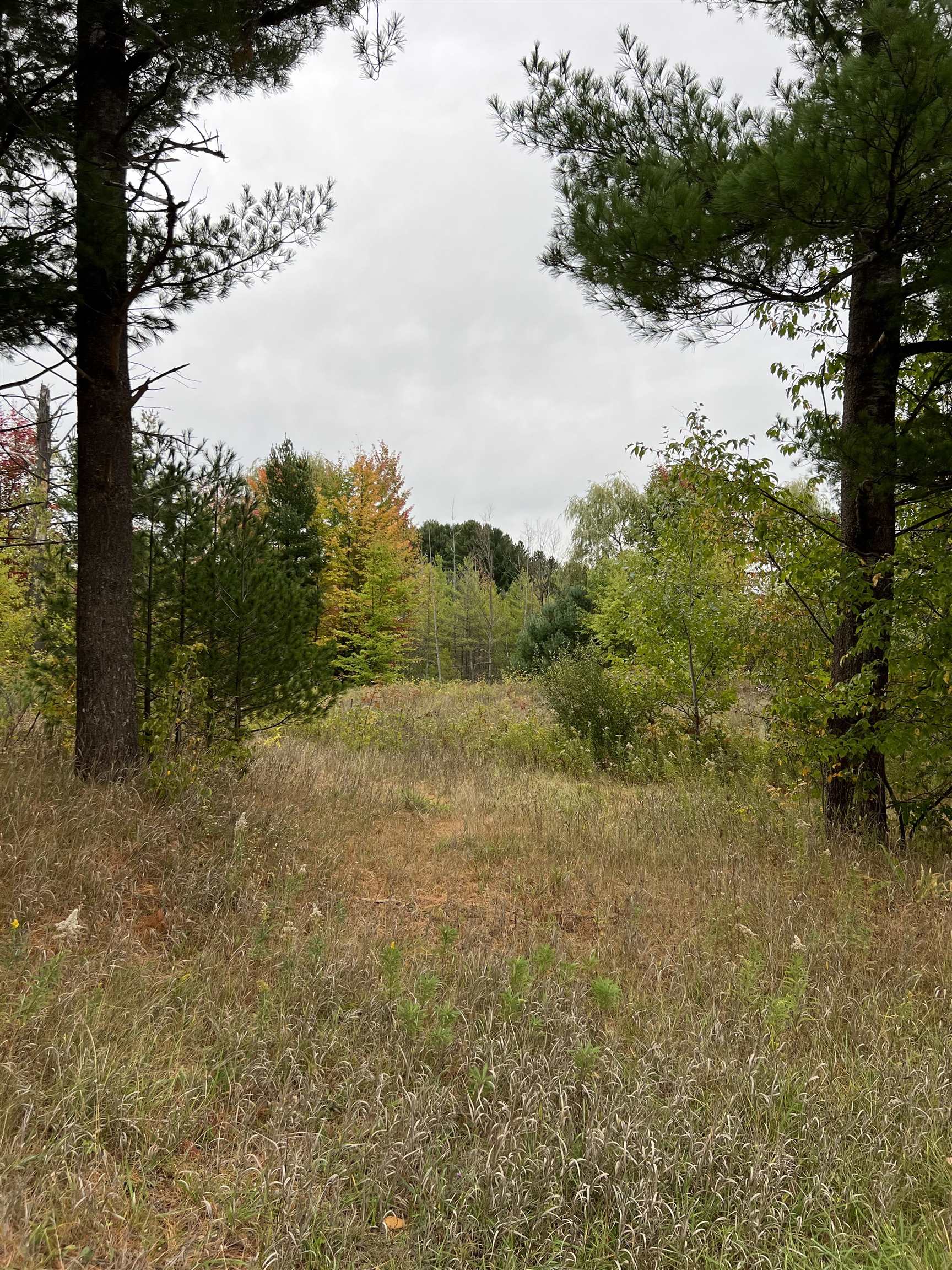 0 Bass Lake Road Traverse City, MI 49685 - Photo 1 of 11 1916755.JPG