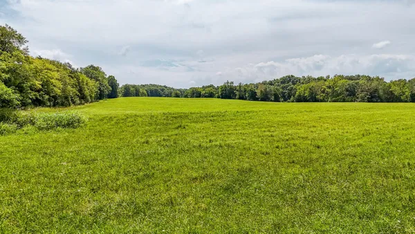 a view of a green field with clear sky
