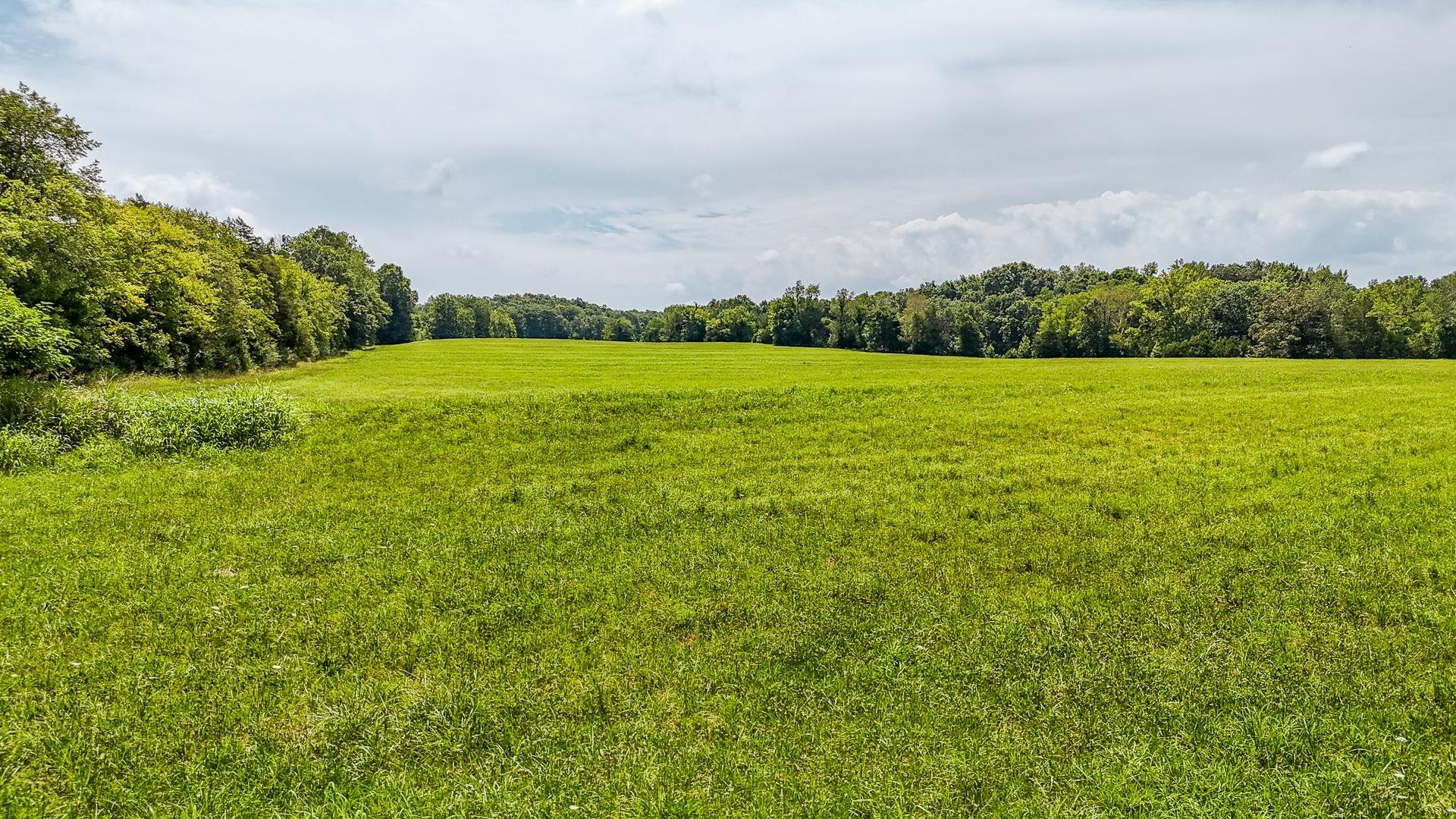 a view of a green field with clear sky