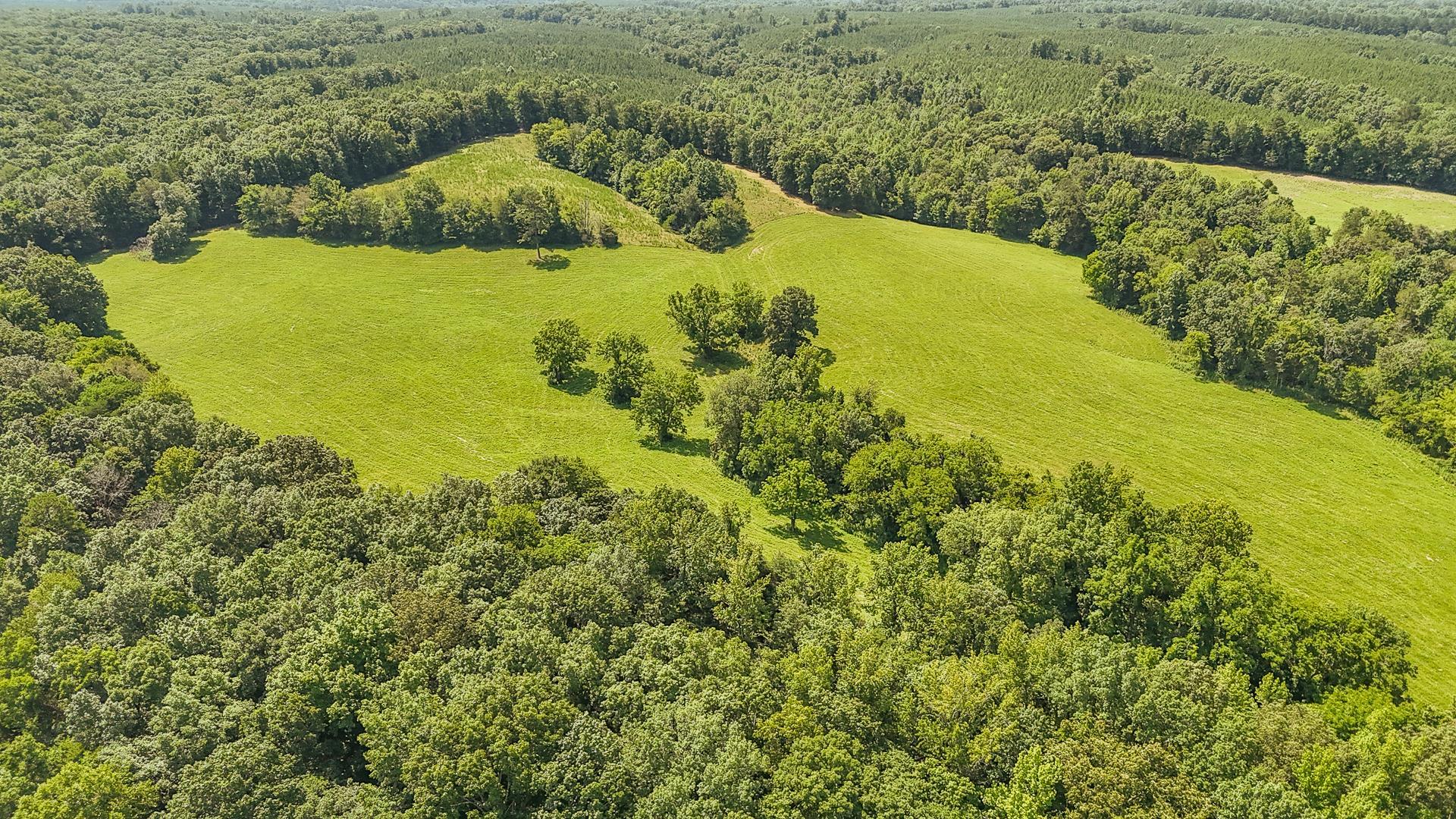 2245 Big Ivy Road Savannah, TN 38372 - Photo 13 of 37 a view of a lake with a yard