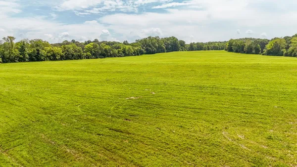 a view of a lake with a yard