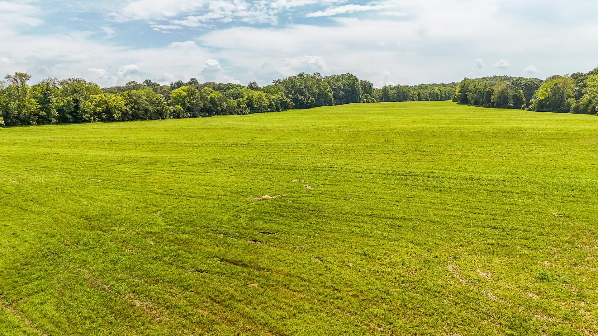 2245 Big Ivy Road Savannah, TN 38372 - Photo 14 of 37 a view of an ocean from a yard