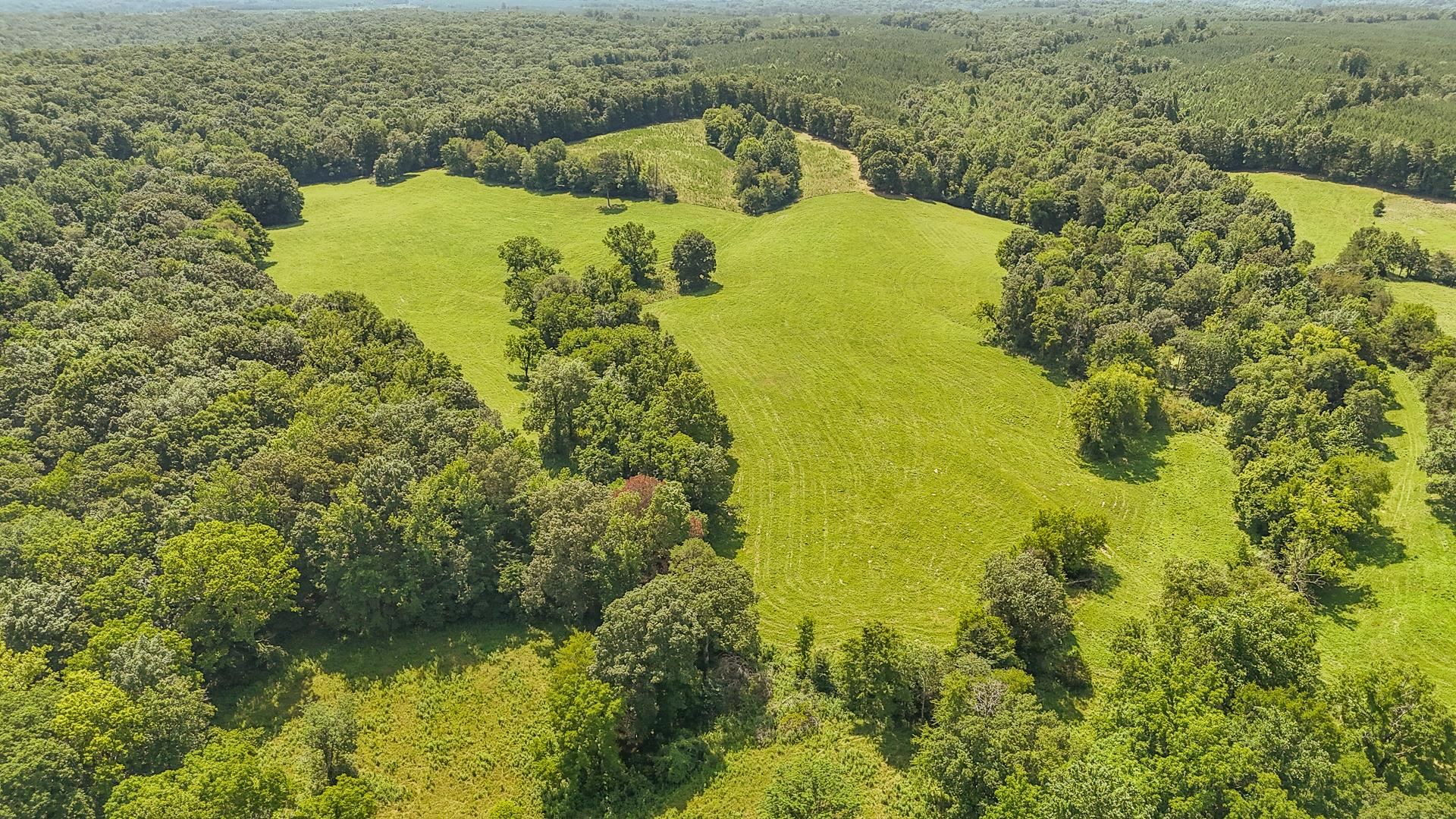 2245 Big Ivy Road Savannah, TN 38372 - Photo 2 of 37