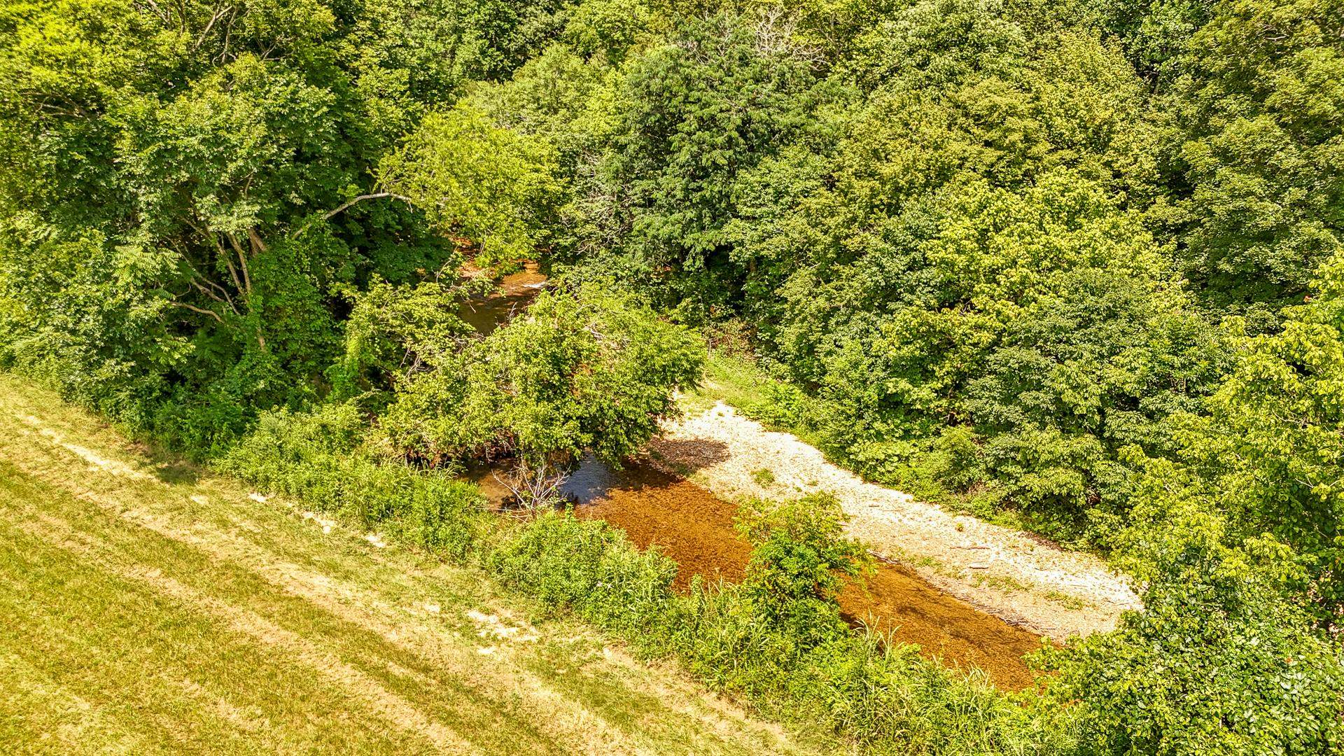 2245 Big Ivy Road Savannah, TN 38372 - Photo 21 of 37