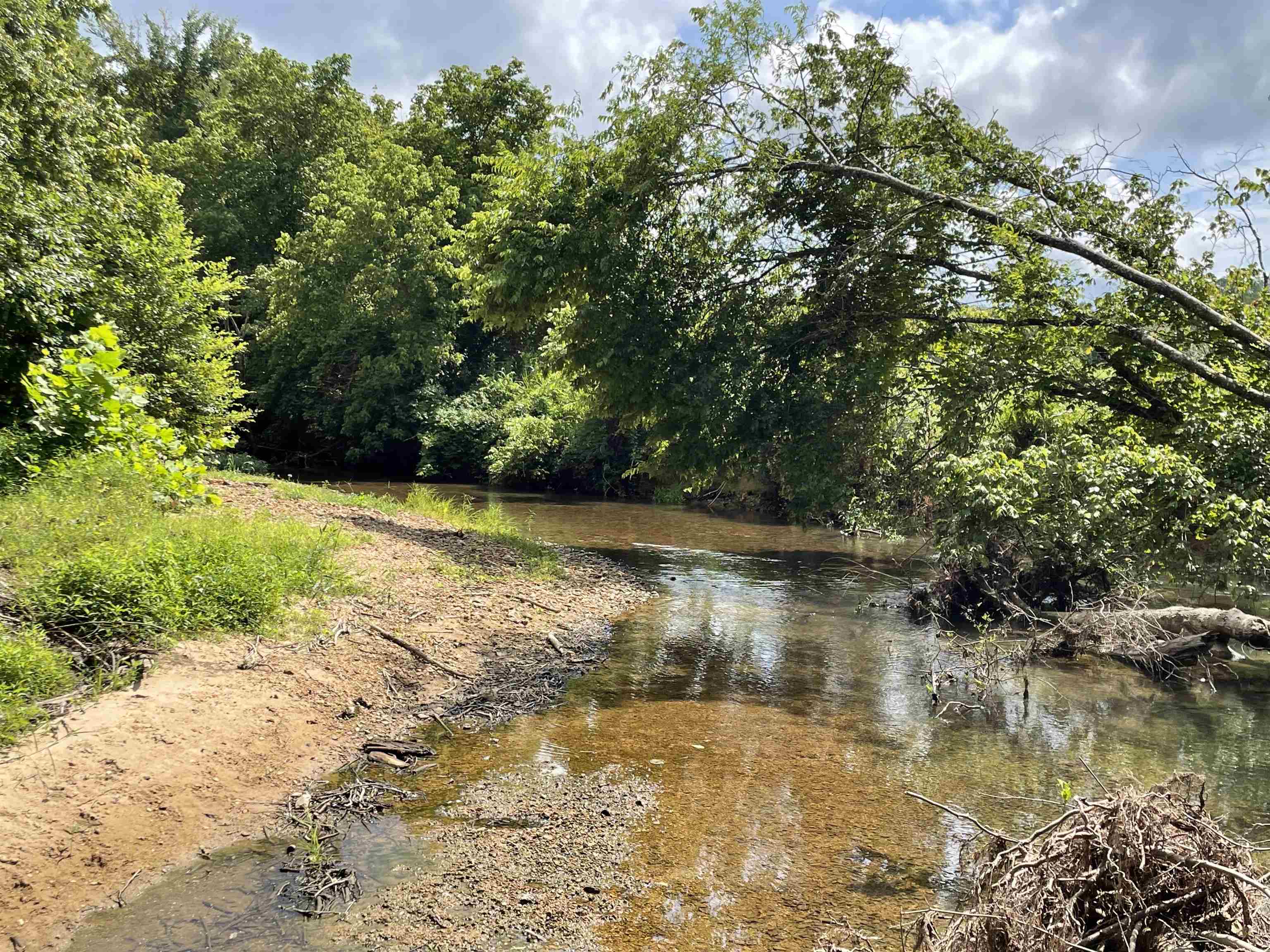 2245 Big Ivy Road Savannah, TN 38372 - Photo 22 of 37 a view of swimming pool with a yard