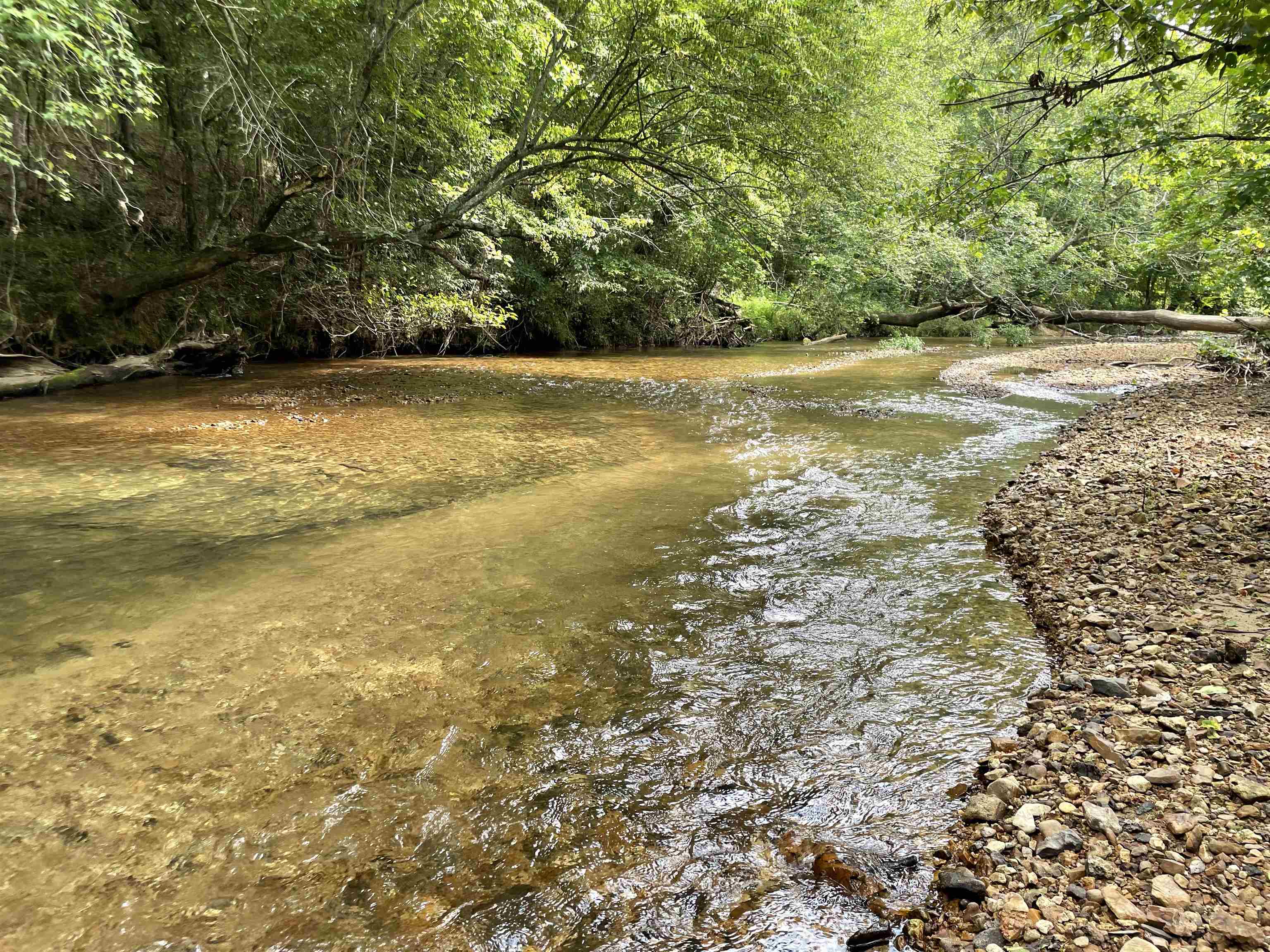 2245 Big Ivy Road Savannah, TN 38372 - Photo 23 of 37 a view of an ocean view