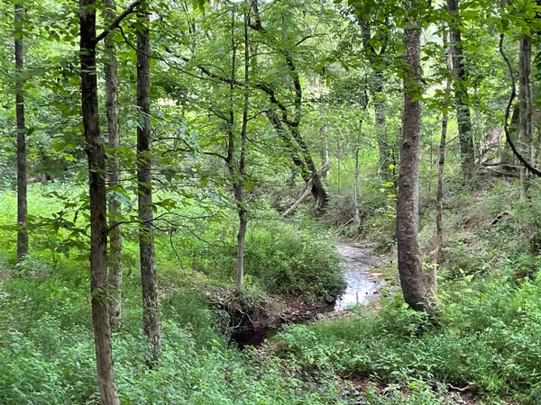 $987,500 | 2245 Big Ivy Road, Savannah, TN 38372