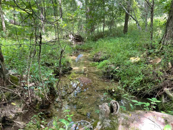 $987,500 | 2245 Big Ivy Road, Savannah, TN 38372