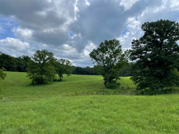 $987,500 | 2245 Big Ivy Road, Savannah, TN 38372